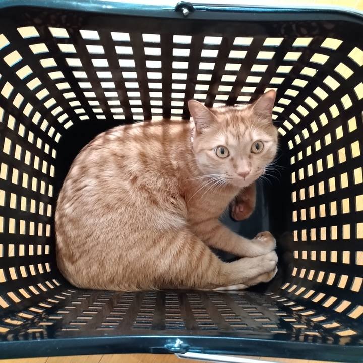 9a954861 1cd8 4d29 ae7e 0b43e486c3ef 1626558403969