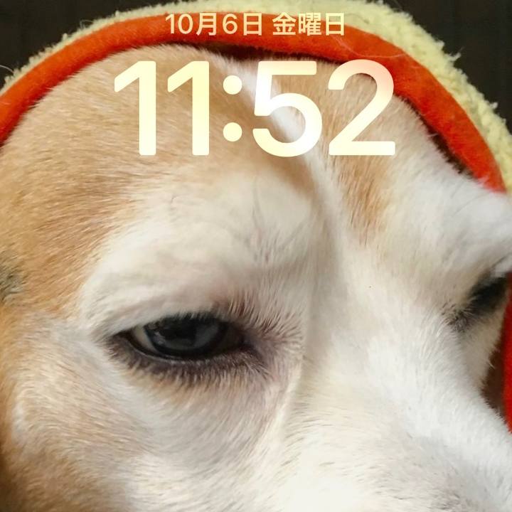 9a9567aa 7e5f 44bd 85f7 0c6772f0fd53 1696560871136