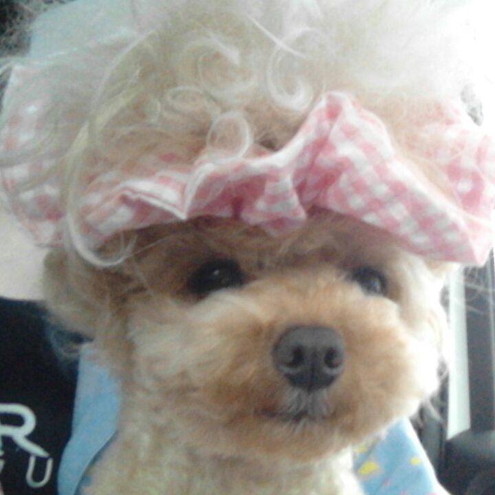 9a957ca1 9d3d 4f24 9d16 006ccf9653c7 1535282677406