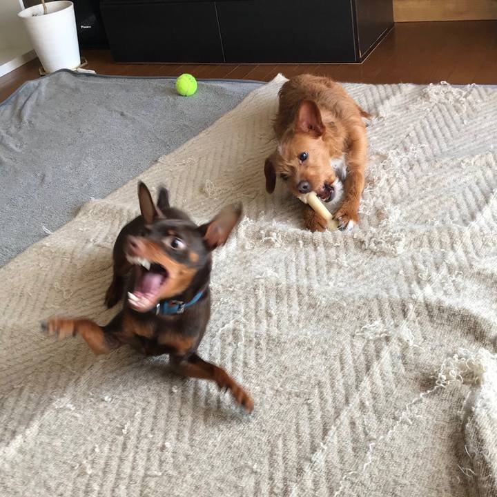 9a95d0b0 6d0d 4afc ba5f df42e6d90caf 1552727419169