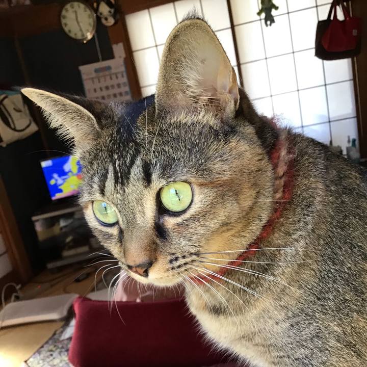 9a95e3b9 e44a 4731 873a d81219996bf5 1636090273009