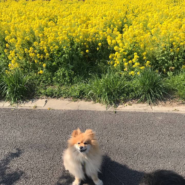 9a95f42d b330 4381 ab9b 42976298f1e4 1552790133709