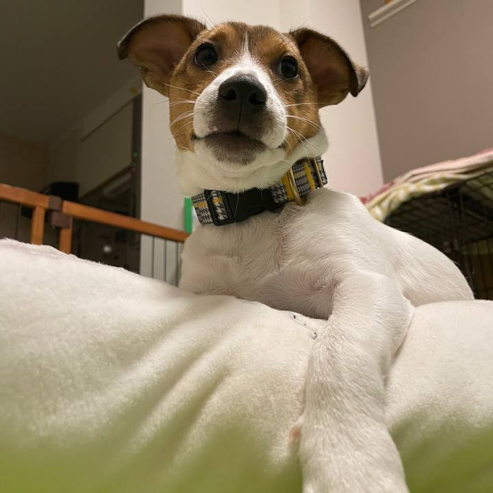 9a95f7a7 5823 48a1 84b8 b51805571a76 1672231948634