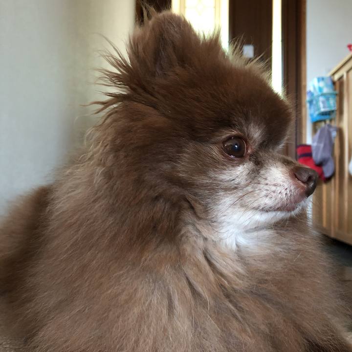 9a9623d8 16ae 4a86 9f28 9646216354b2 1624402205320