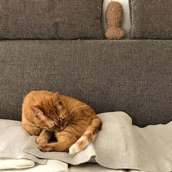 9a967810 8526 4966 8d44 4cfb832f5531 1559524487037