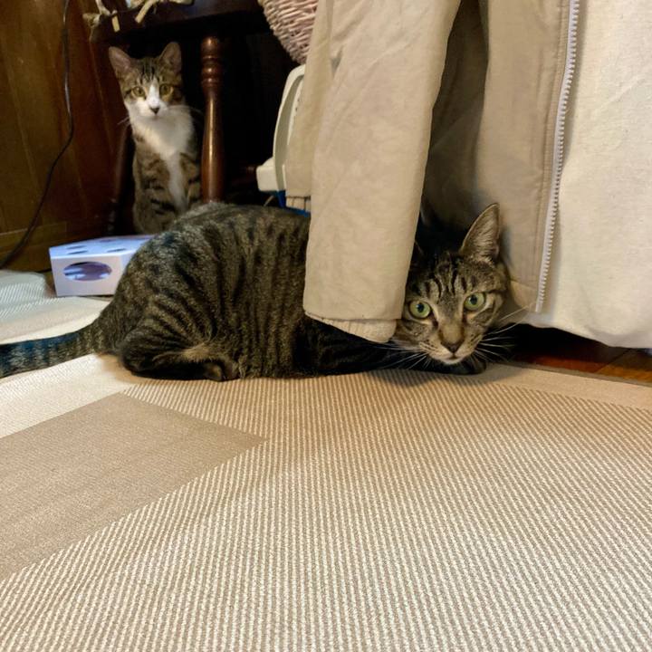 9a968f8f 2832 4d25 b2d7 51f09ddbf7a8 1706100932667