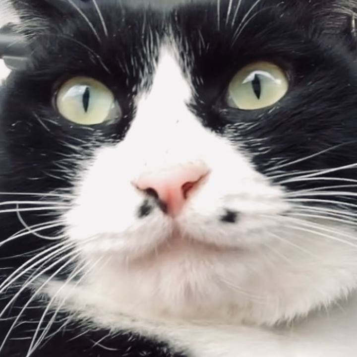 9a96a765 bad8 4c0f 92f8 b8d46af10e69 1735559614407