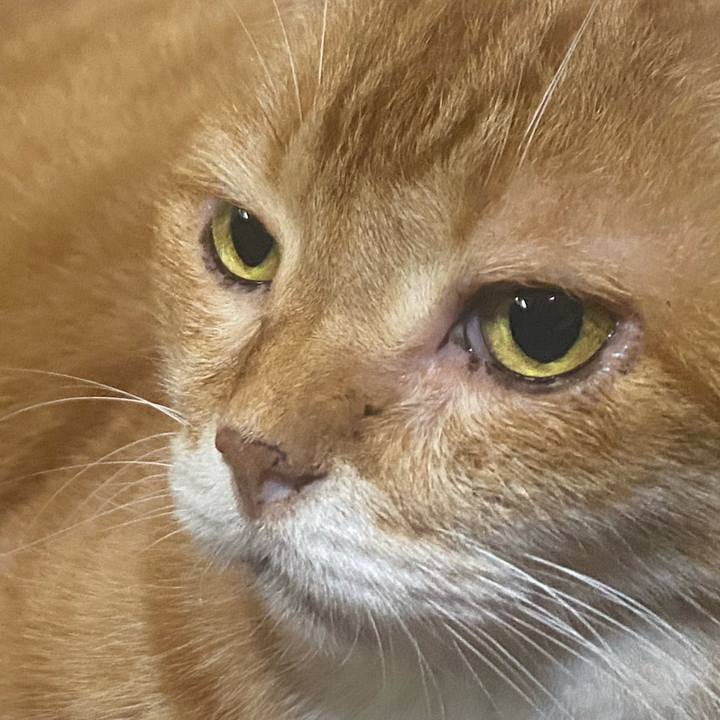 9a96b21c ede5 4704 8078 96767af3aa61 1718895430026