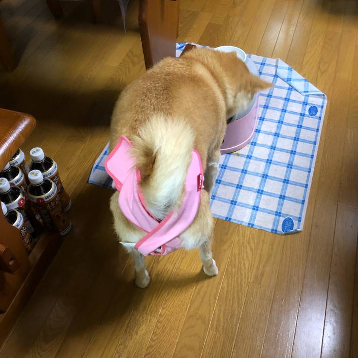 9a96d3bf 603a 47f0 bcc1 19ae27a33256 1578315236106