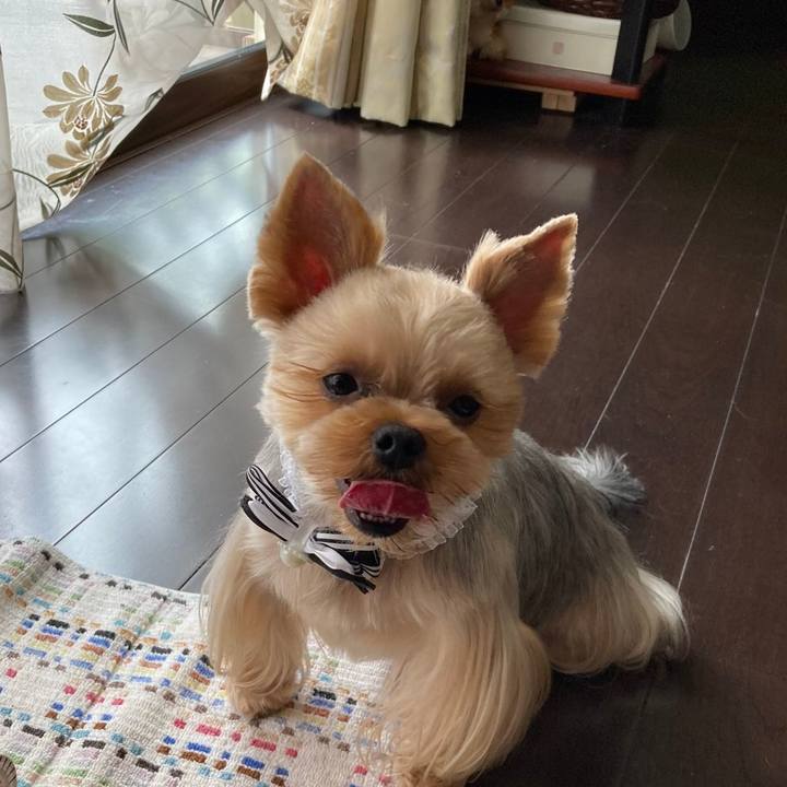 9a96d6c3 15a7 42c5 9f4a c81e41cf6e11 1687937386243