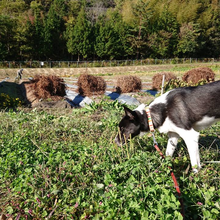 9a9707bc 0969 4c31 8a76 f73584c58db9 1540870442072