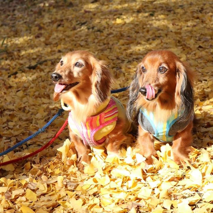 9a971c57 3161 4b9a 8e5f d7c23c4b6ee8 1763175690194