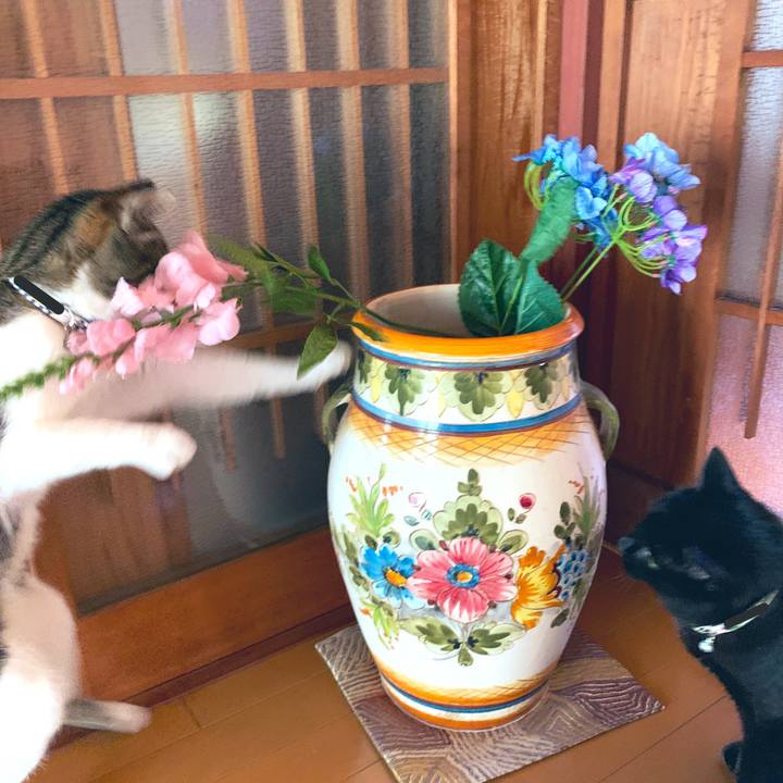 9a97304f 6191 4c8b 88e8 4bb78e623275 1556959452635