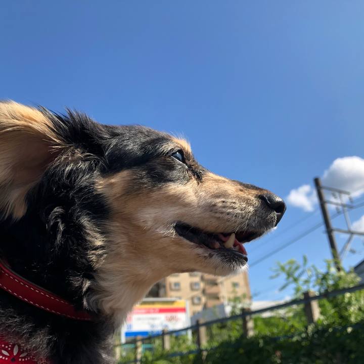 9a977cd1 44f8 4aed a71f 16a1573905b0 1635221306370