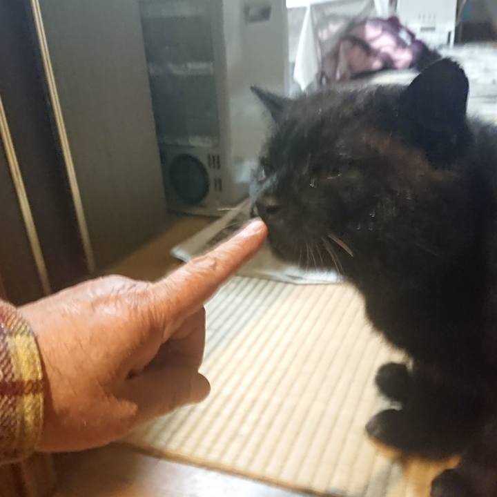 9a97d584 8176 4d85 a379 6240df640ca5 1618828059940