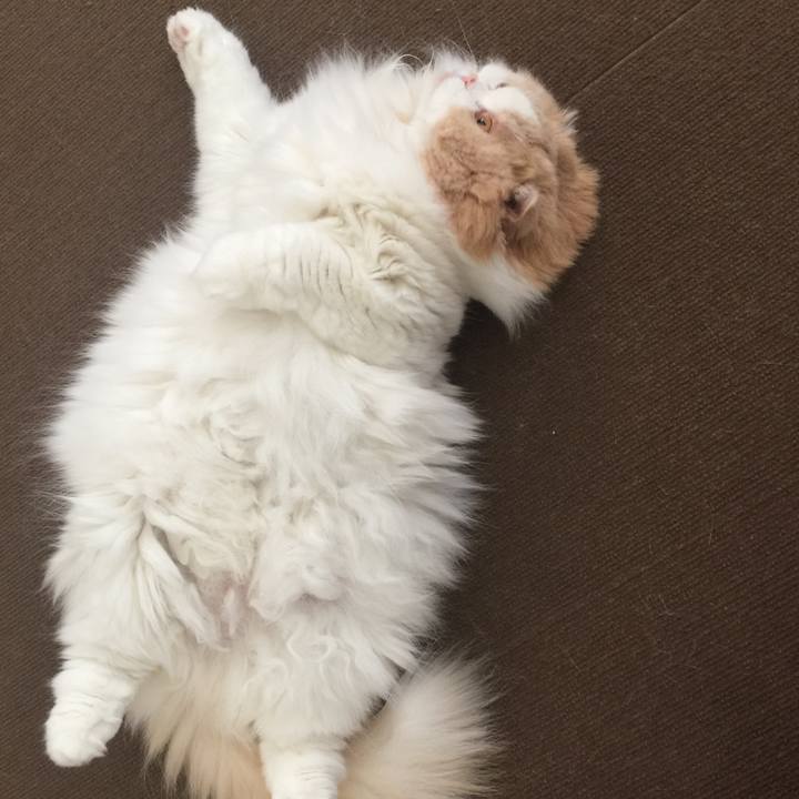 9a97f8b6 c674 4822 ba6f 44e2c18a5bd6 1591182684659