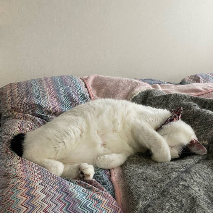 9a97fc54 9f9e 4808 b867 c30e77b95286 1678146136059