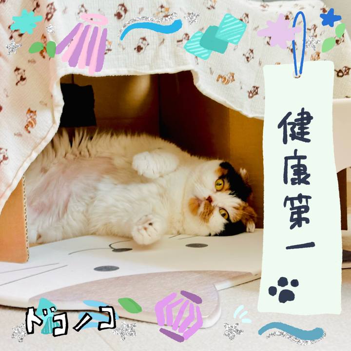 9a9808e8 1da1 4f44 9cd4 60ec2b17919d 1720762781460