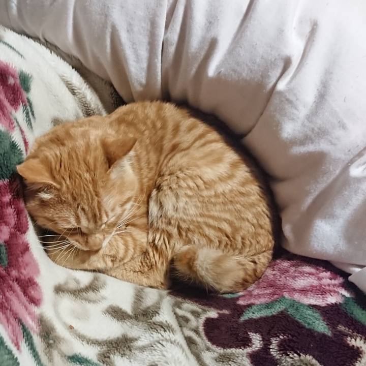 9a982967 6d8b 462e 8a70 c4ed752a2ed9 1639656714244