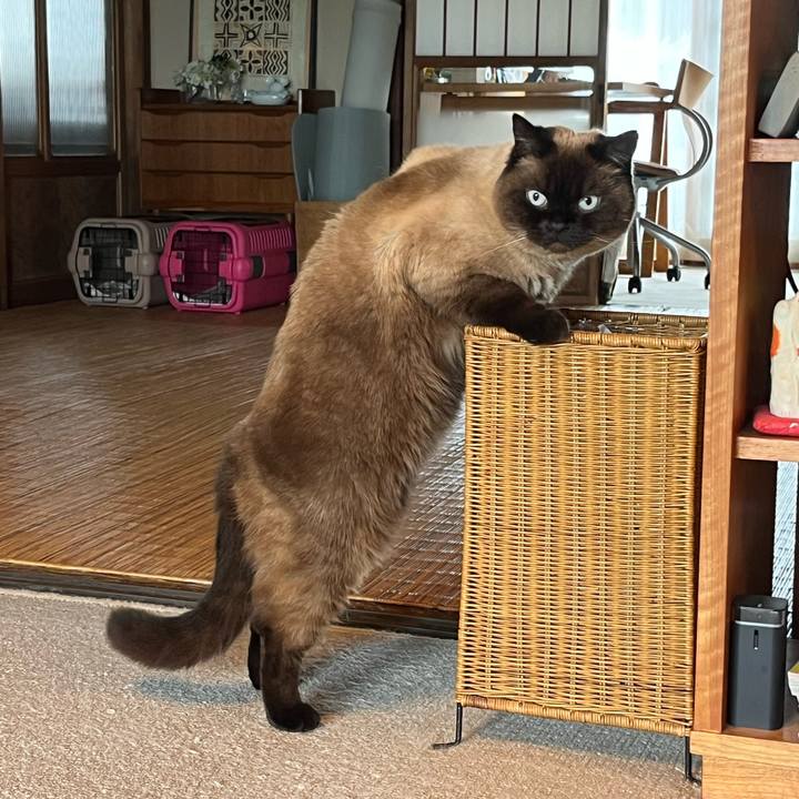 9a983911 8cae 4934 b473 b7899c828674 1748991828876