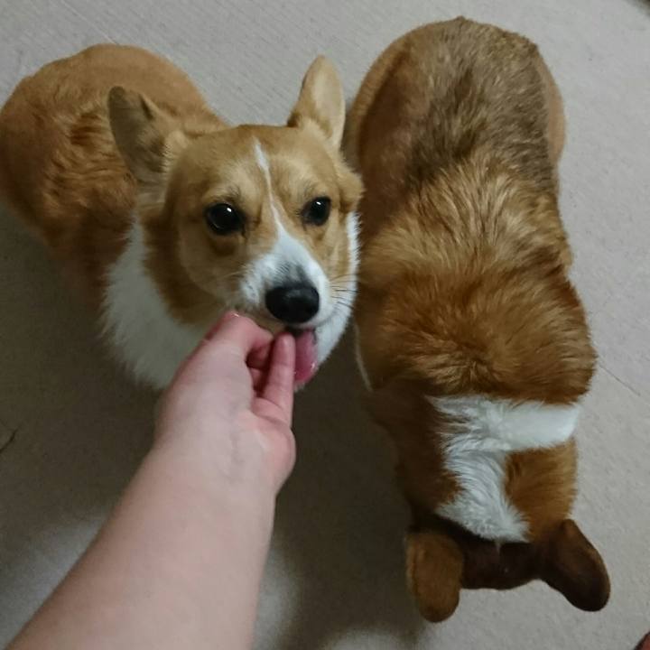 9a9852a0 0f0f 4aa4 8a02 feef0c1d5664 1514203126556