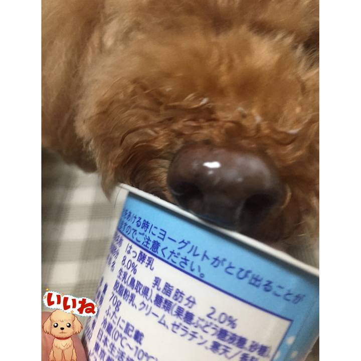 9a985324 64eb 442e b932 d57d7fd615c7 1536530427349