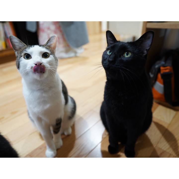 9a9860e0 10f9 4b64 9a57 4dd00688ac5c 1568298254072