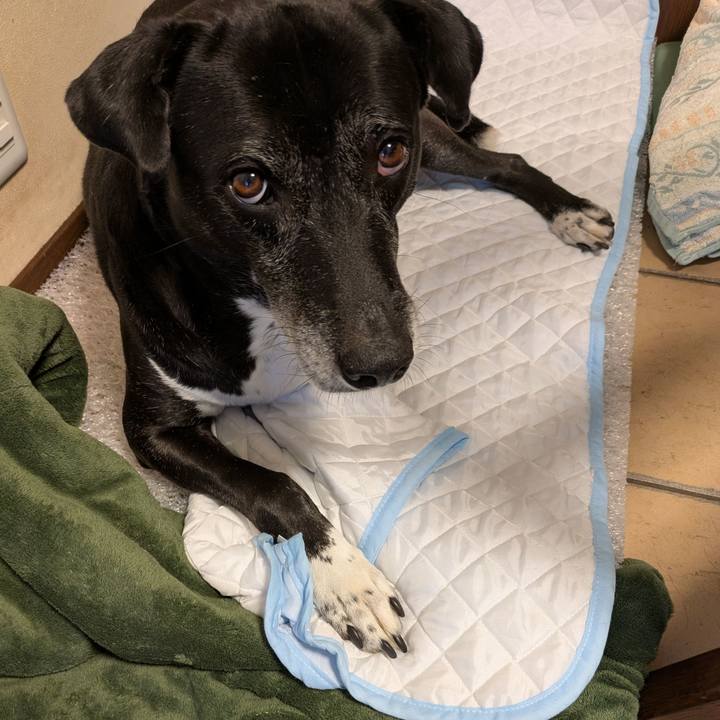 9a986828 fd33 474a bc0b e517b5120bb8 1760229661627