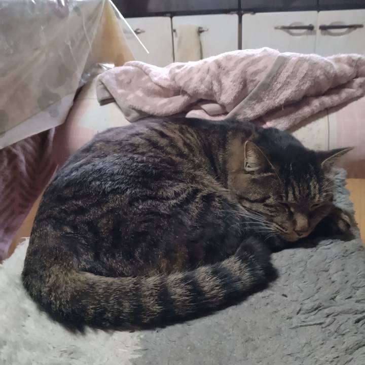 9a98714e 5b49 452e a312 2f7ccb56d4a4 1669425984181