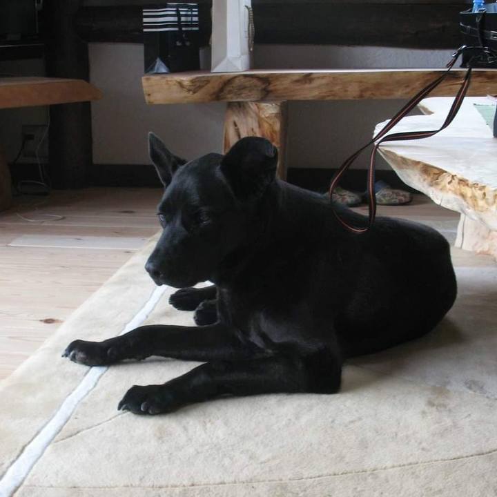 9a987edb 14d0 4f67 8d20 5b085b6ba1a7 1558370975182