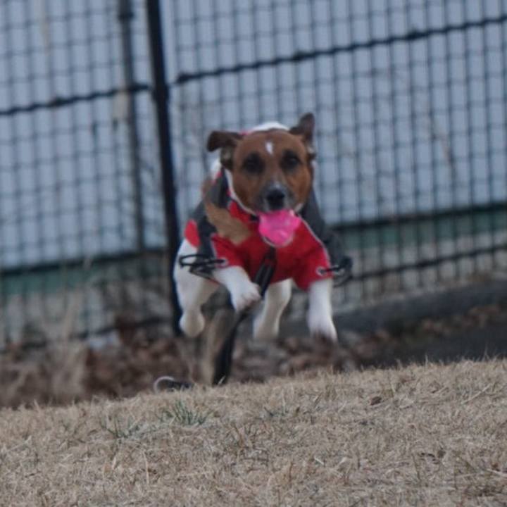 9a98d505 87c5 41fc bfdc ff2eb0f0e702 1514330217041