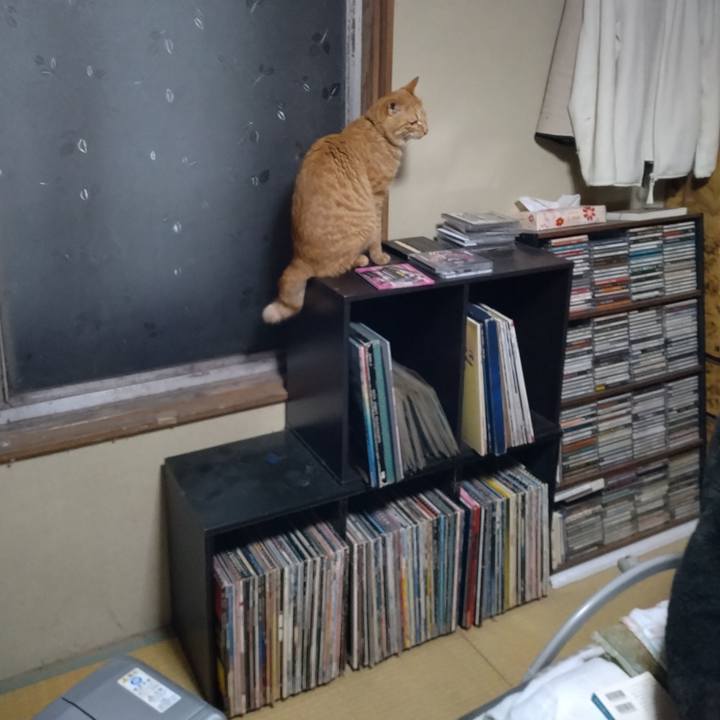 9a98e4fb 0dcd 4e2d 9e4a 322b7c0b6ded 1669463988815