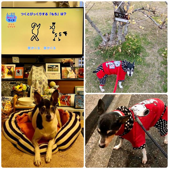 9a99213d 7215 4c23 ac34 ce45c4c16d67 1673388019887