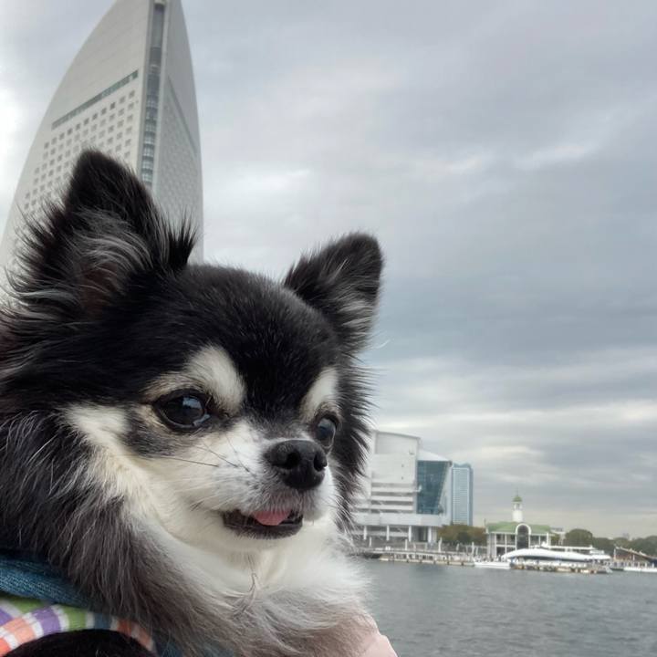 9a992289 c3ca 4734 8104 16b55739e6bc 1773996640390