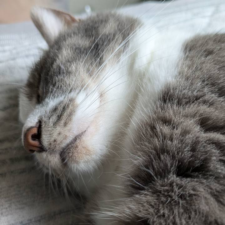 9a993b4b 30d4 45a4 a0ea 0a2a56ea0f12 1729223015608