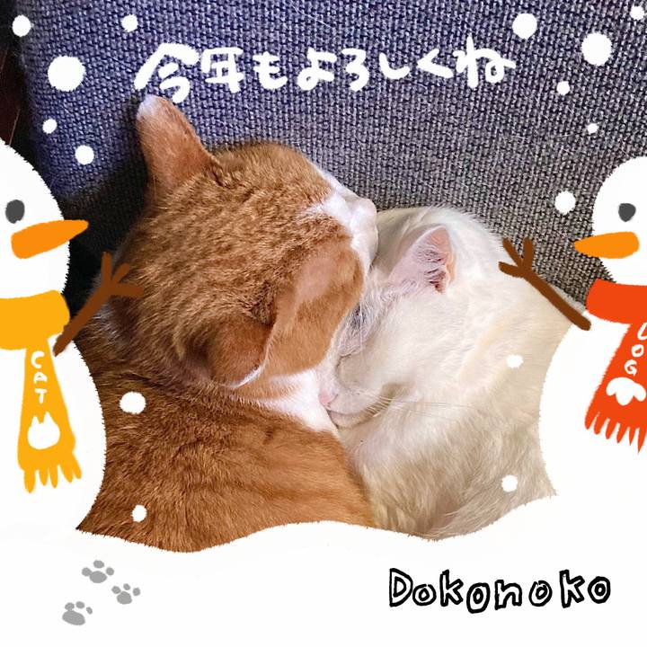 9a997c76 7c5e 4c2a a023 18a236f970f2 1704245983881