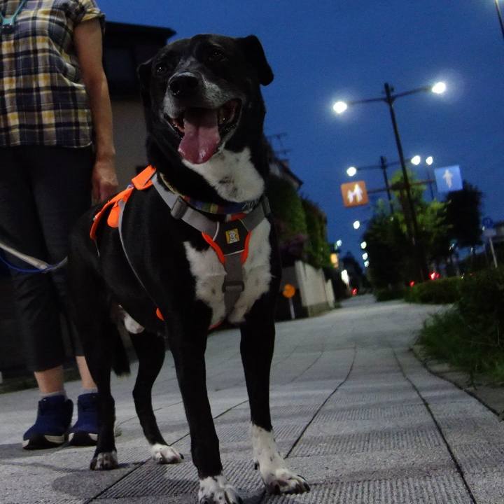 9a998760 1563 49e2 abfa 4a77e8250c9d 1721042119555