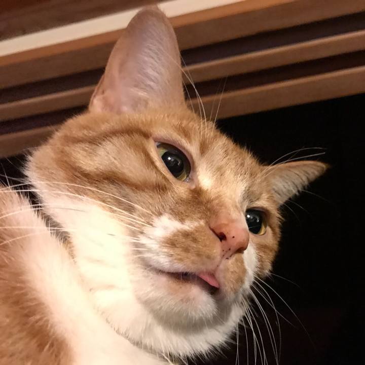 9a9988cd bd5a 4612 b020 99d0eb05e4b4 1520509201335