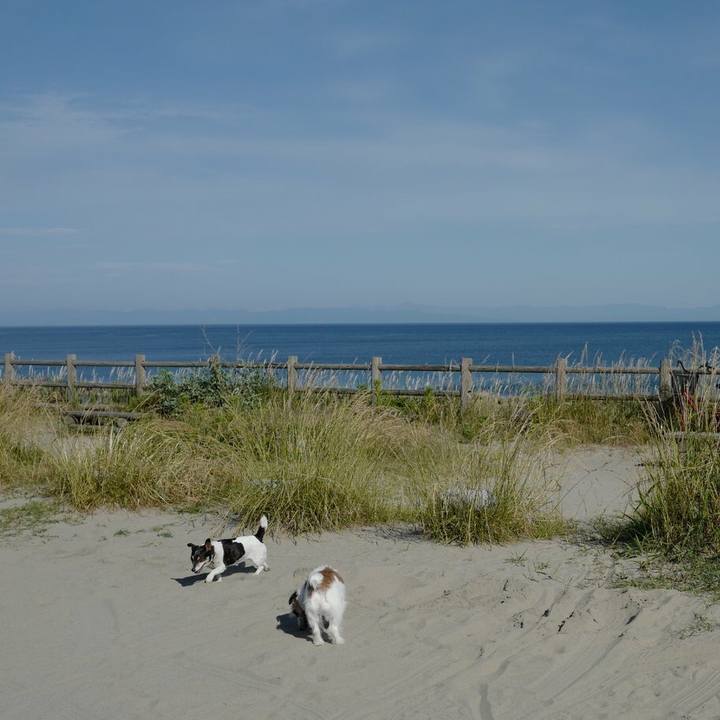 9a9994b0 7654 4e5e 972d 1a7334da7d8b 1529379977923