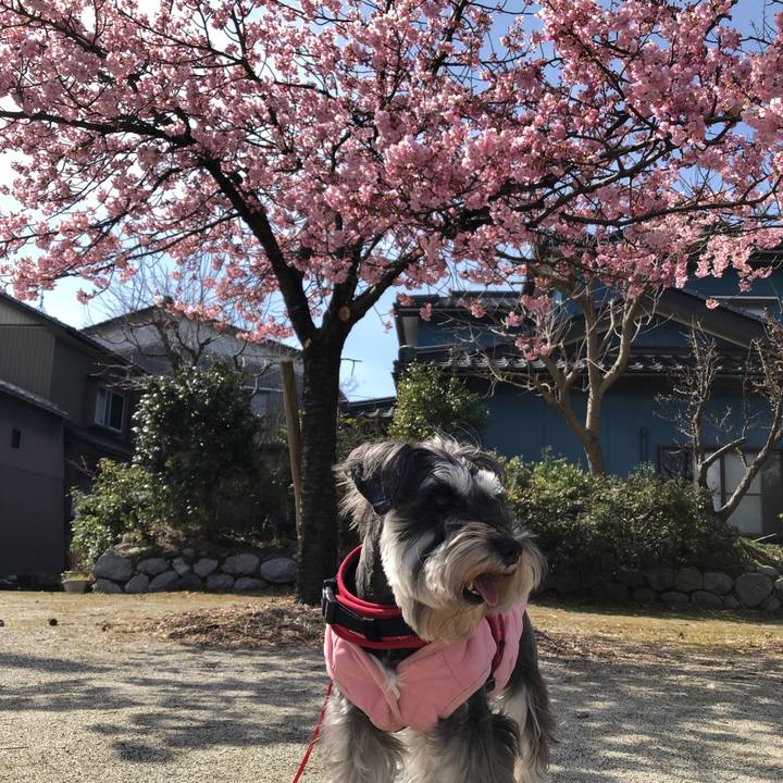 9a99e342 144d 43e9 a932 e5368c996c3e 1583589514219