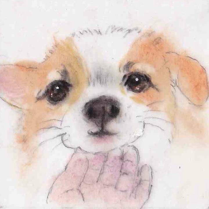 9a99f1d8 bb0d 4ab9 b403 db31f5425834 1662429301459