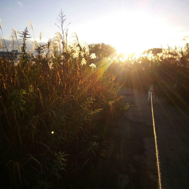 9a9a04c6 ff33 4542 acb9 fff2d3a6a291 1511596746399