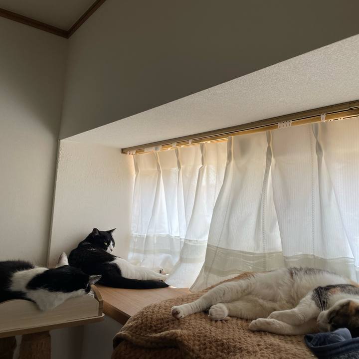 9a9a2d04 84b0 4d39 bee1 f861033f7226 1718337284816