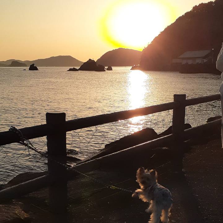 9a9a2fba b1fd 4413 80c5 5657d4223614 1678143389129