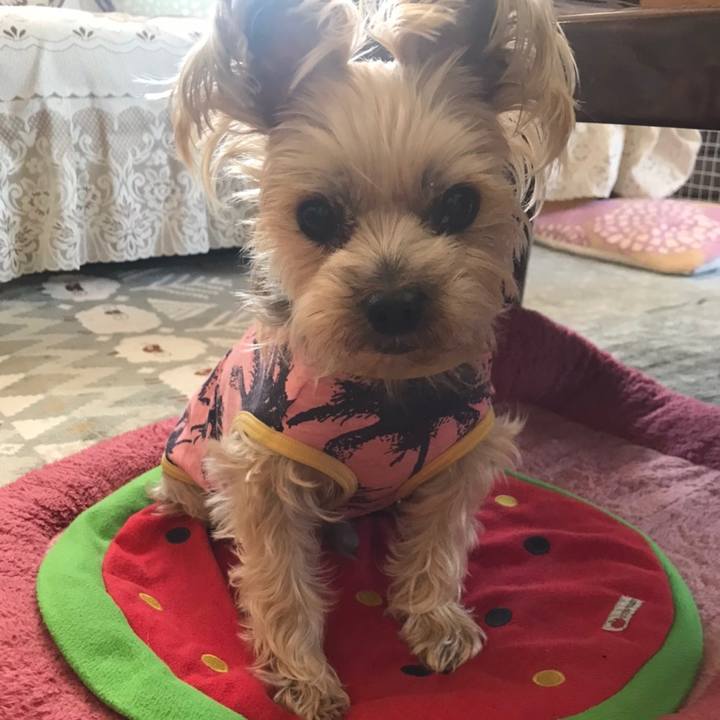 9a9a5061 878e 4036 a014 e1d14764bb1b 1582707780063