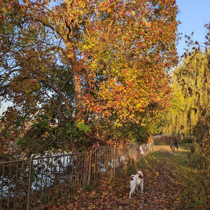 9a9a5e49 ed4a 4625 8225 873d84187e88 1637310681218