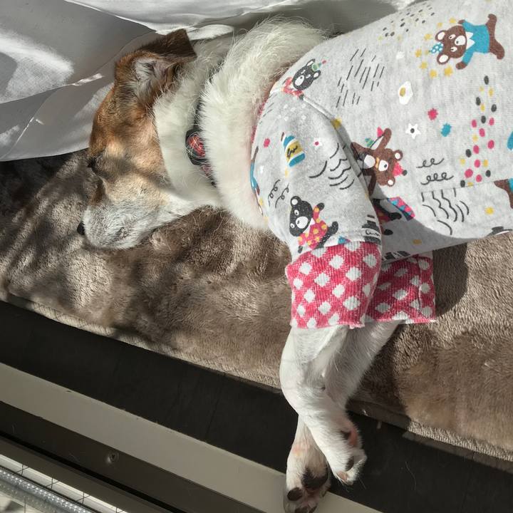 9a9a5fa9 720f 46b7 91e6 0bd412dd0ddf 1575001804167