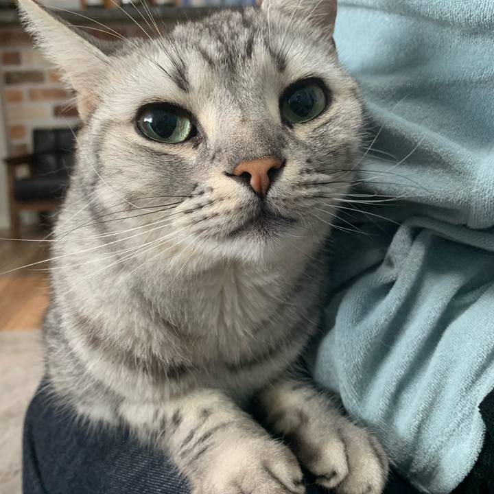 9a9a6426 494a 4754 b932 aa38bd0a3132 1660440357798