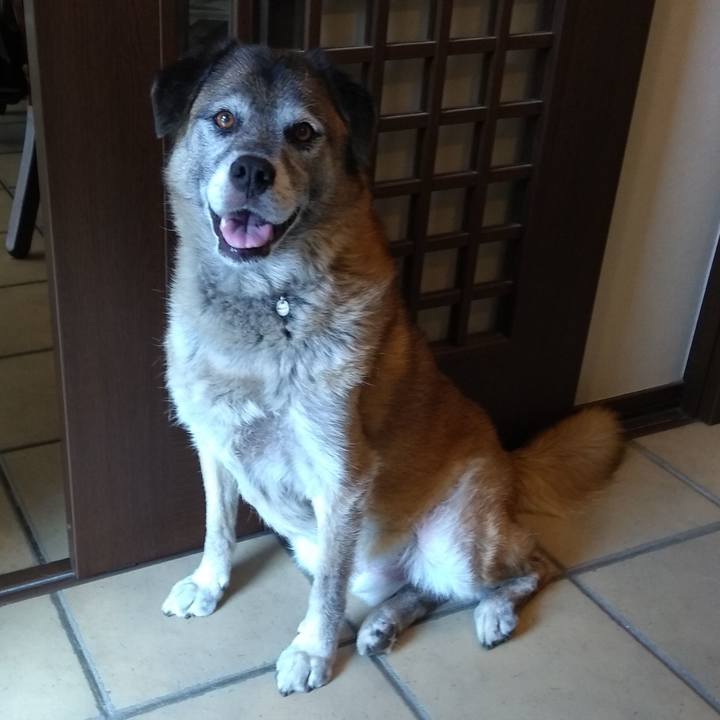 9a9a66ed 666b 47d0 90b9 68ce716aab1c 1567731471964