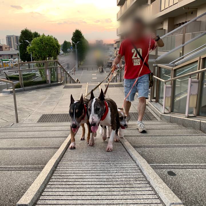 9a9abe5b 1699 43e3 8607 6780bc788687 1597321510190